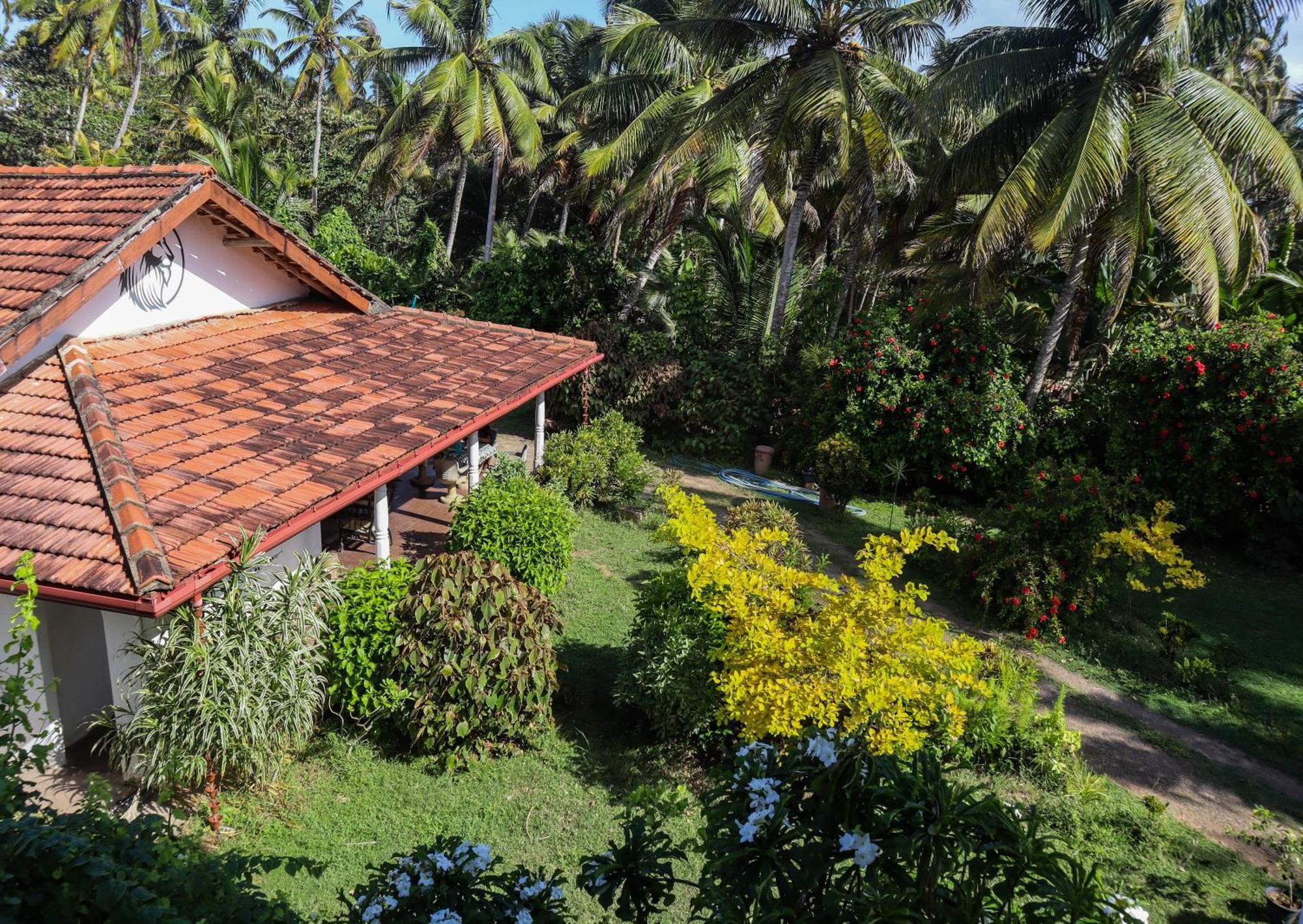 ホテル Singhe House ディックウェラ エクステリア 写真