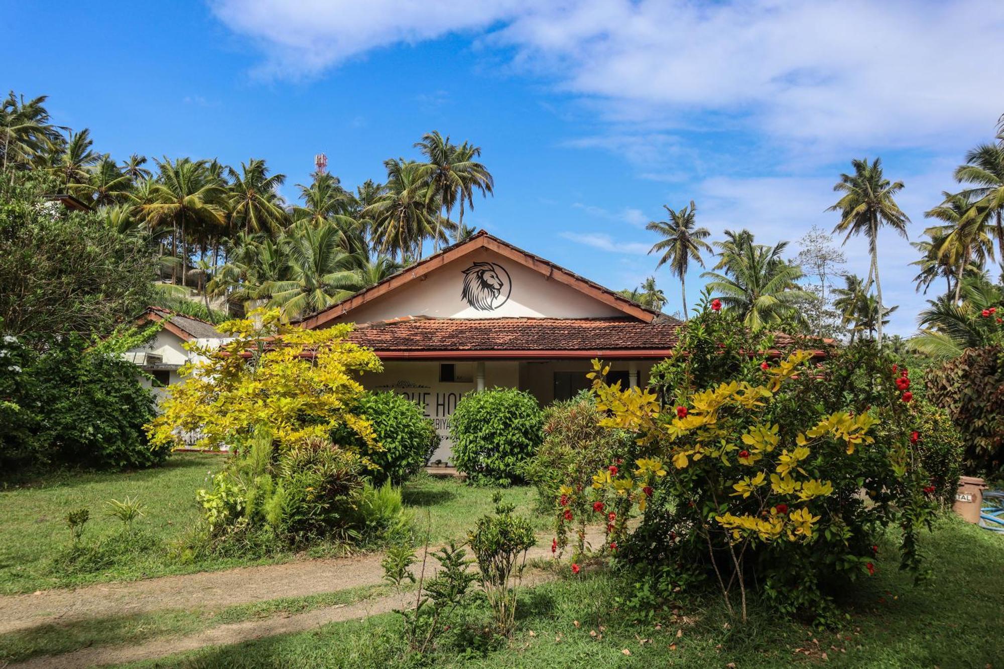 ホテル Singhe House ディックウェラ エクステリア 写真