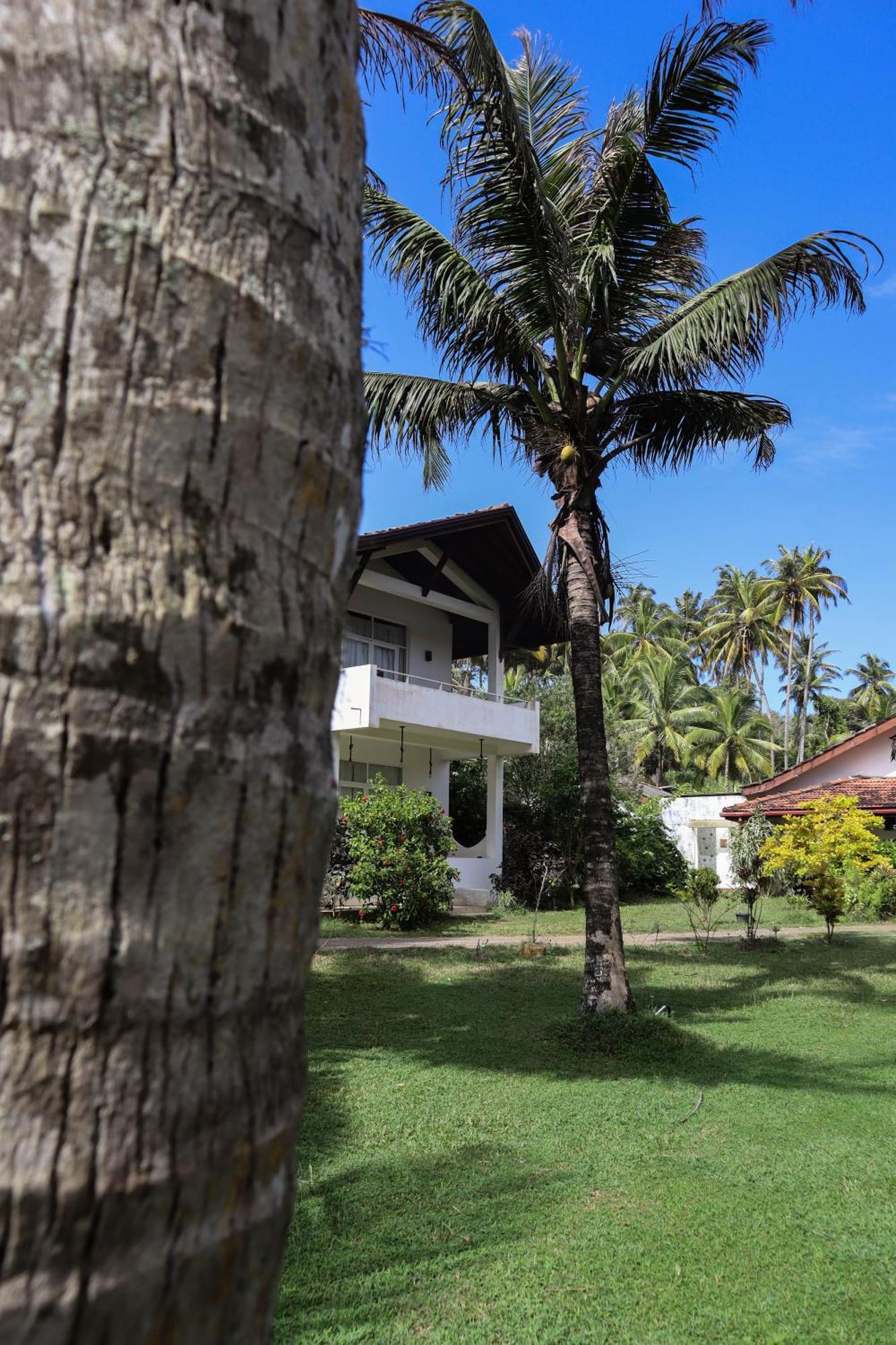 ホテル Singhe House ディックウェラ エクステリア 写真